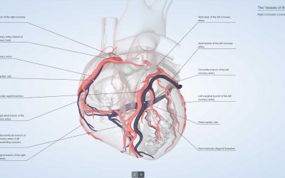 Virtual Labs for Biology Experiments for Interactive Web Experience.