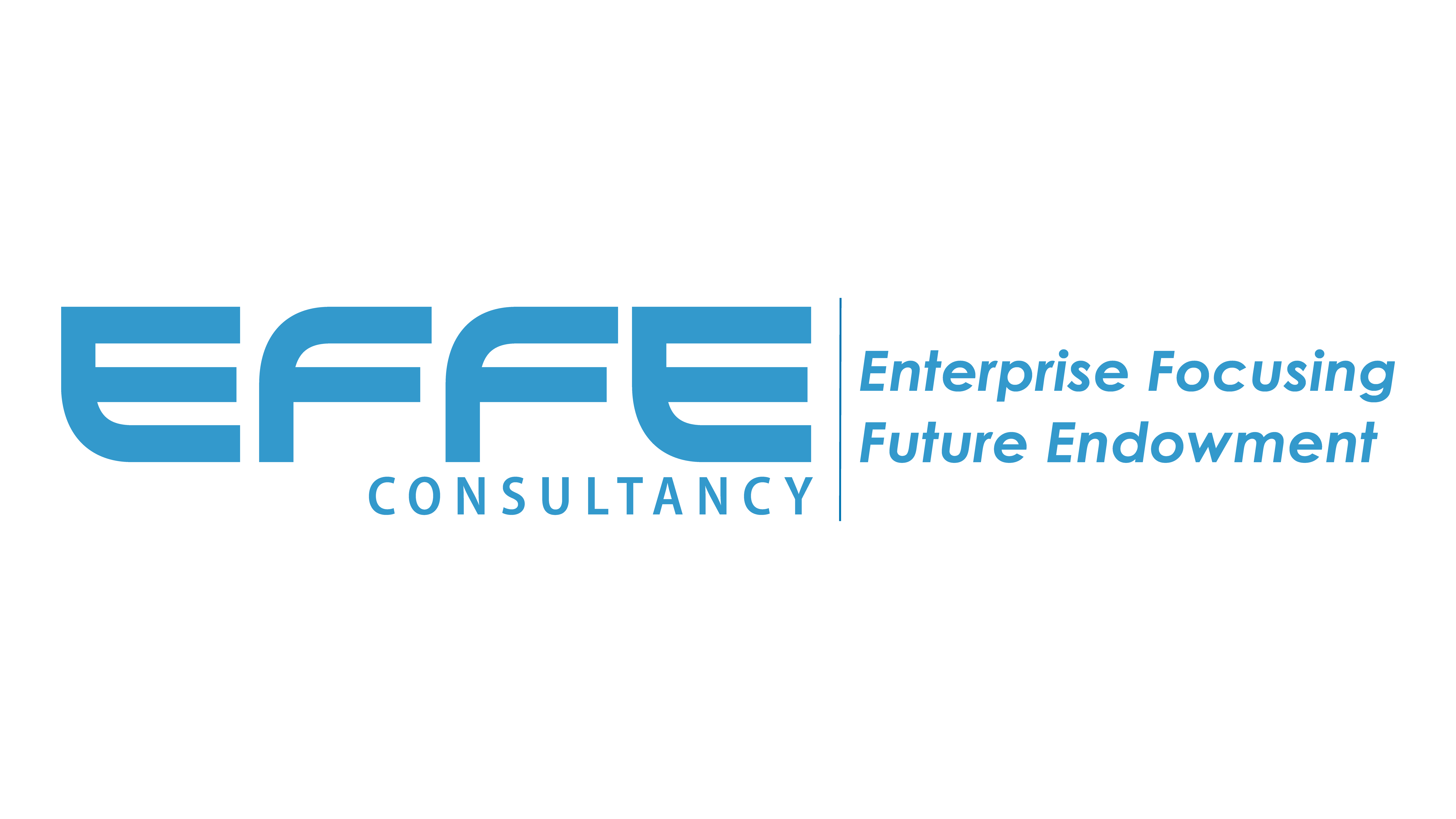 effe consultancy logo