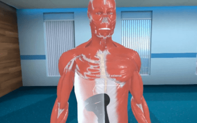 Explore VR Human Anatomy: An Immersive Learning Experience