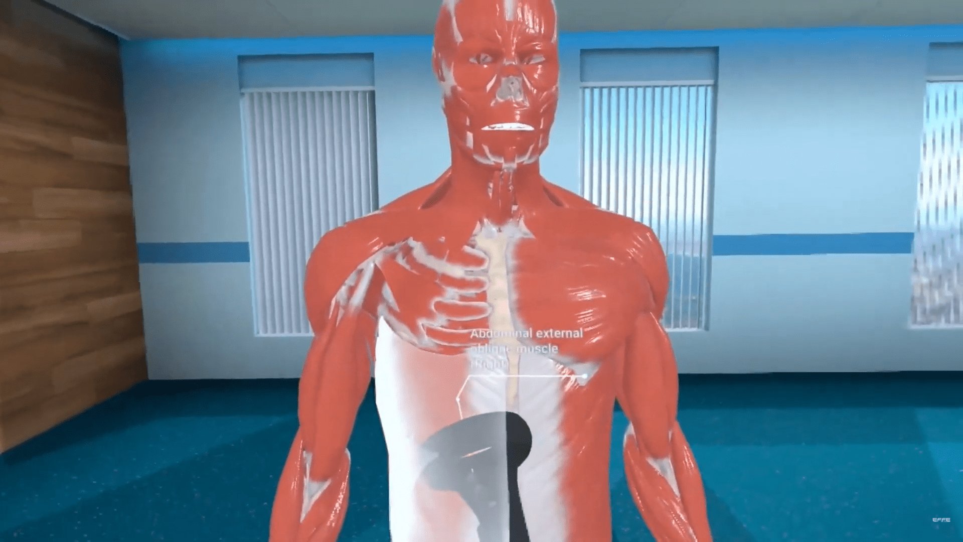 VR Human Anatomy